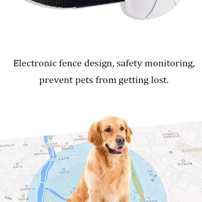 F9 pet positioning best sale collar