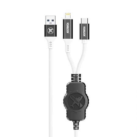YOUKILOON Lightning& Type-C Dual Interface Data Recovery Cable for ...