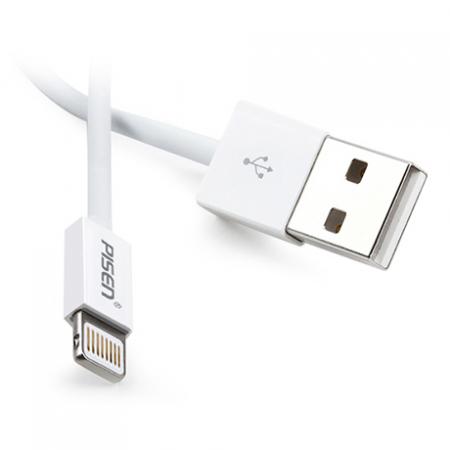 1M Pisen Data Transmit and Charging Cable for iPhone 6 5S iPad Air 2 mini 3